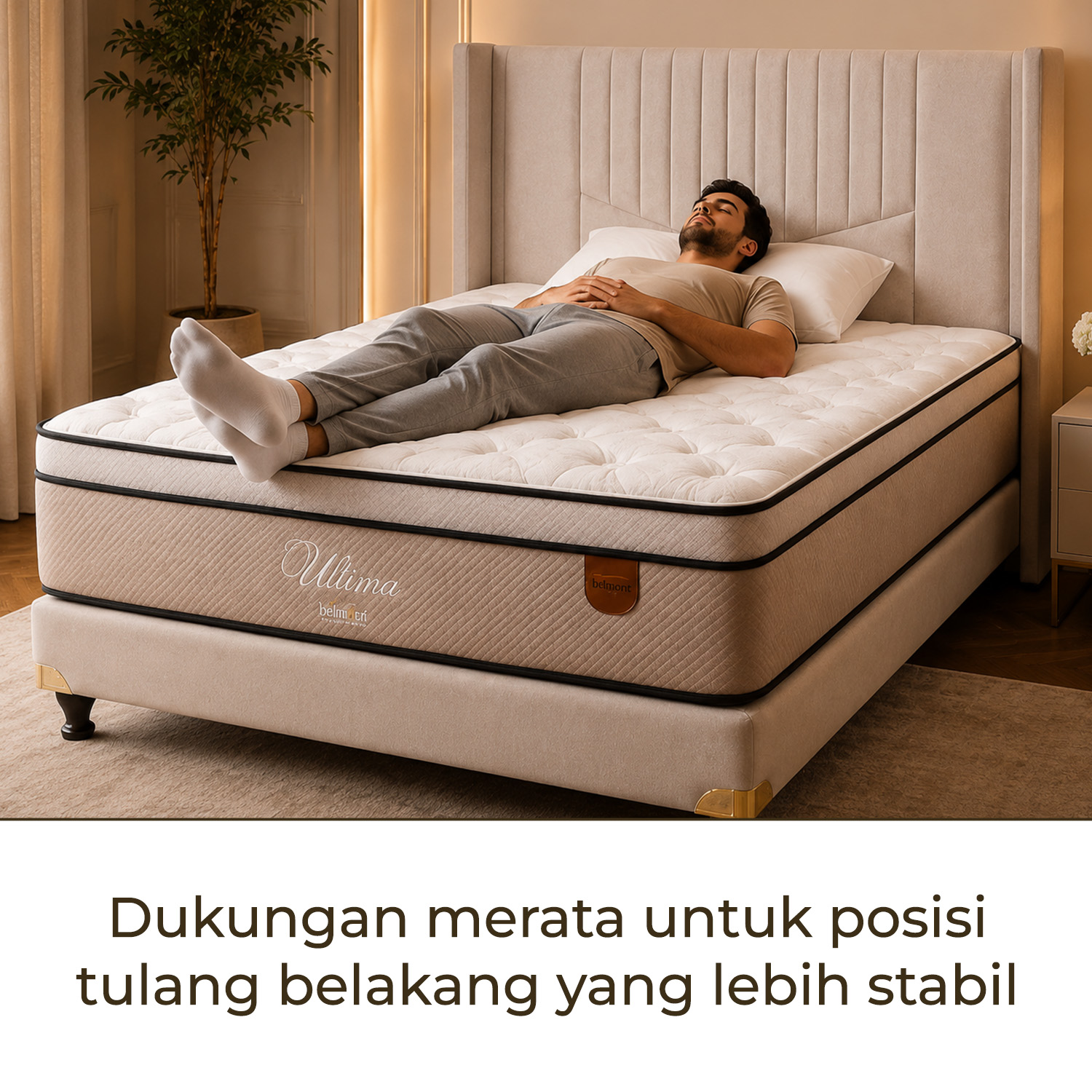 BACK SLEEPER